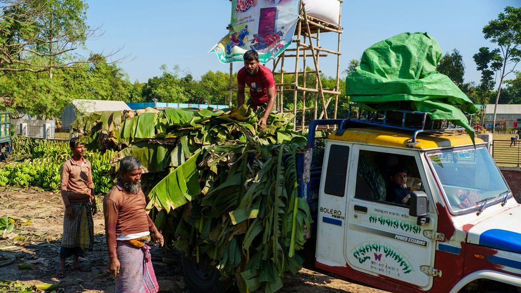 business insights for analysis