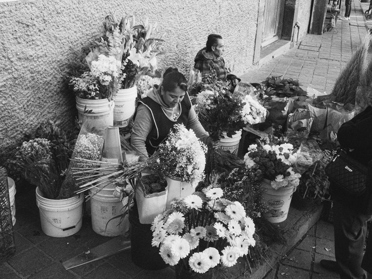 market overview and figures